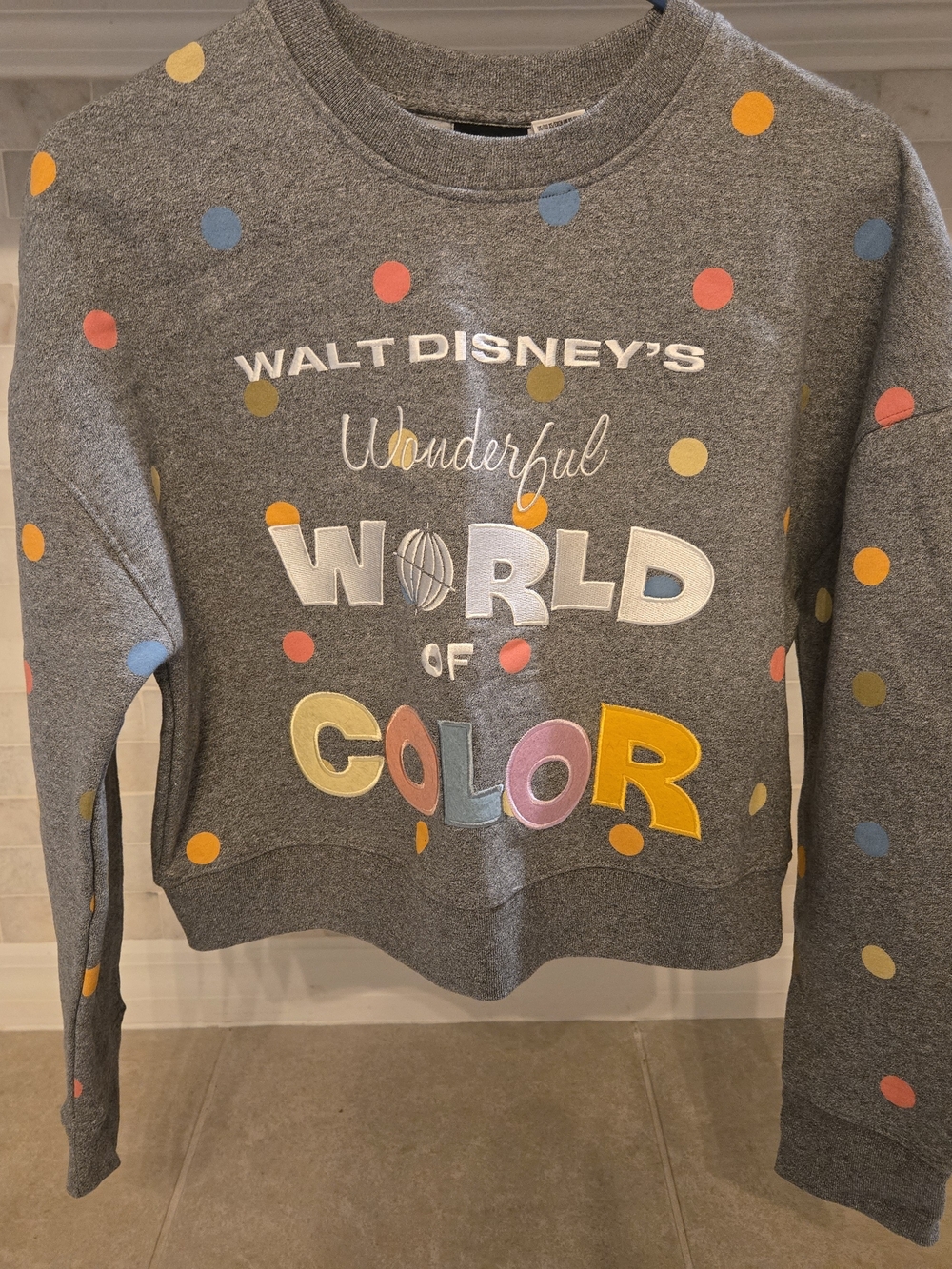 Disney Gray Polka Dot "Wonderful World of Color" Crewneck Sweatshirt